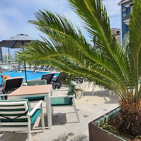 Alezzi Large Luxury Studio N10 Piscina Apartment Navodari